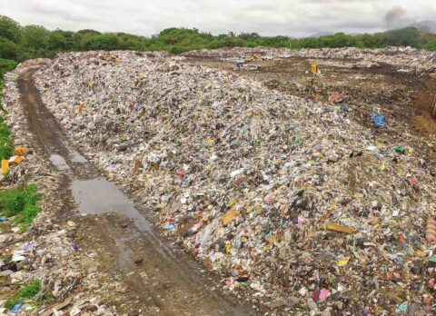 L’initiative de la Commission européenne pour reformer la directive criminalité environnementale, un véritable tournant ?