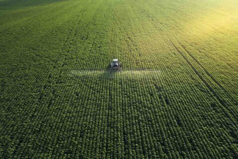 Les pesticides : hors de la ferme, hors de l’assiette ?