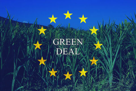 Appel à contribution pour le colloque<br>Green Deal et marché