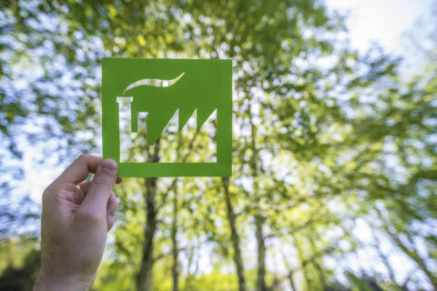 Questionnaire de la Société de législation comparée (SCL) sur la norme environnementale – la réponse pour la France par l’Observatoire du Green Deal